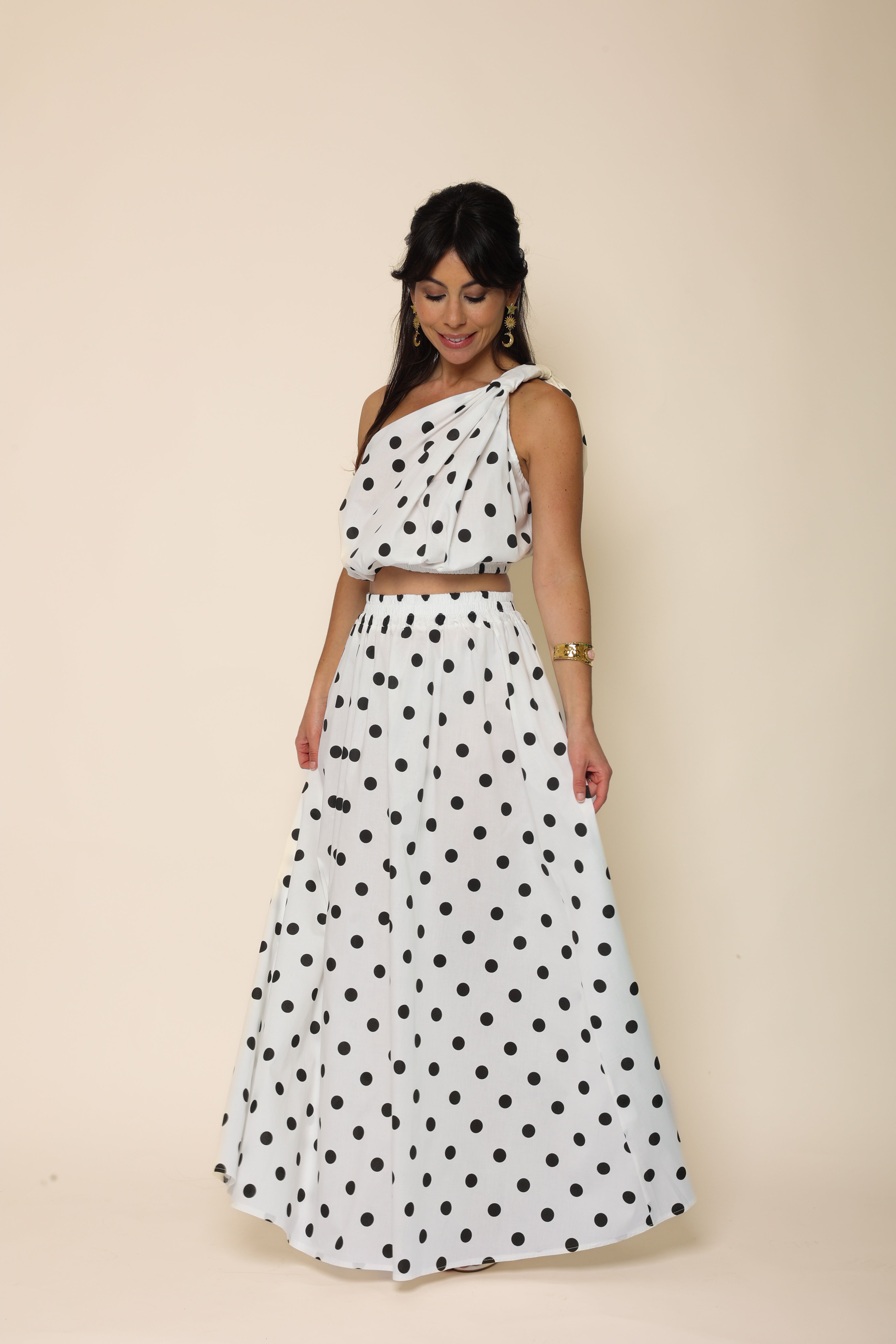 Ensemble FLAVIE