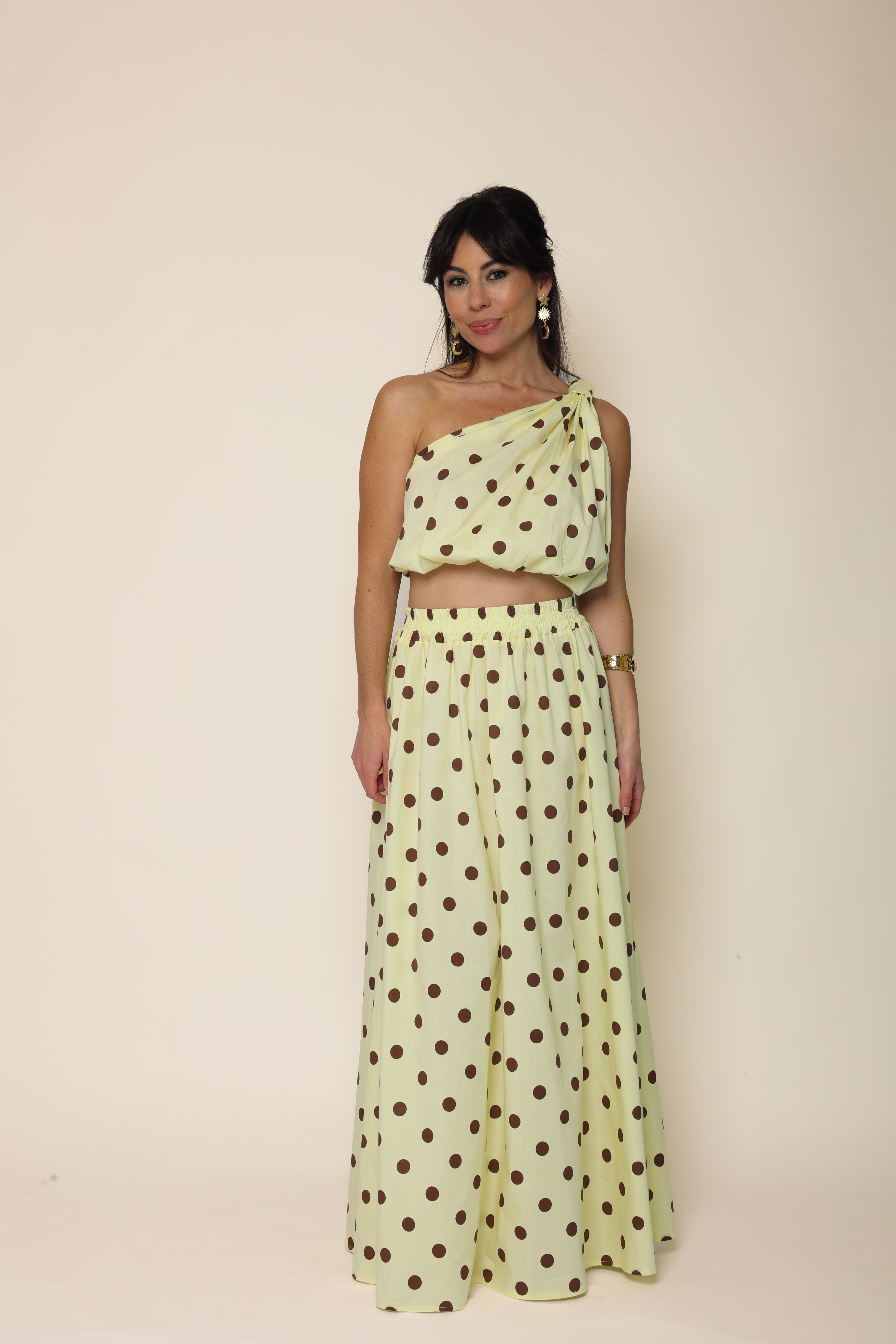 Ensemble FLAVIE