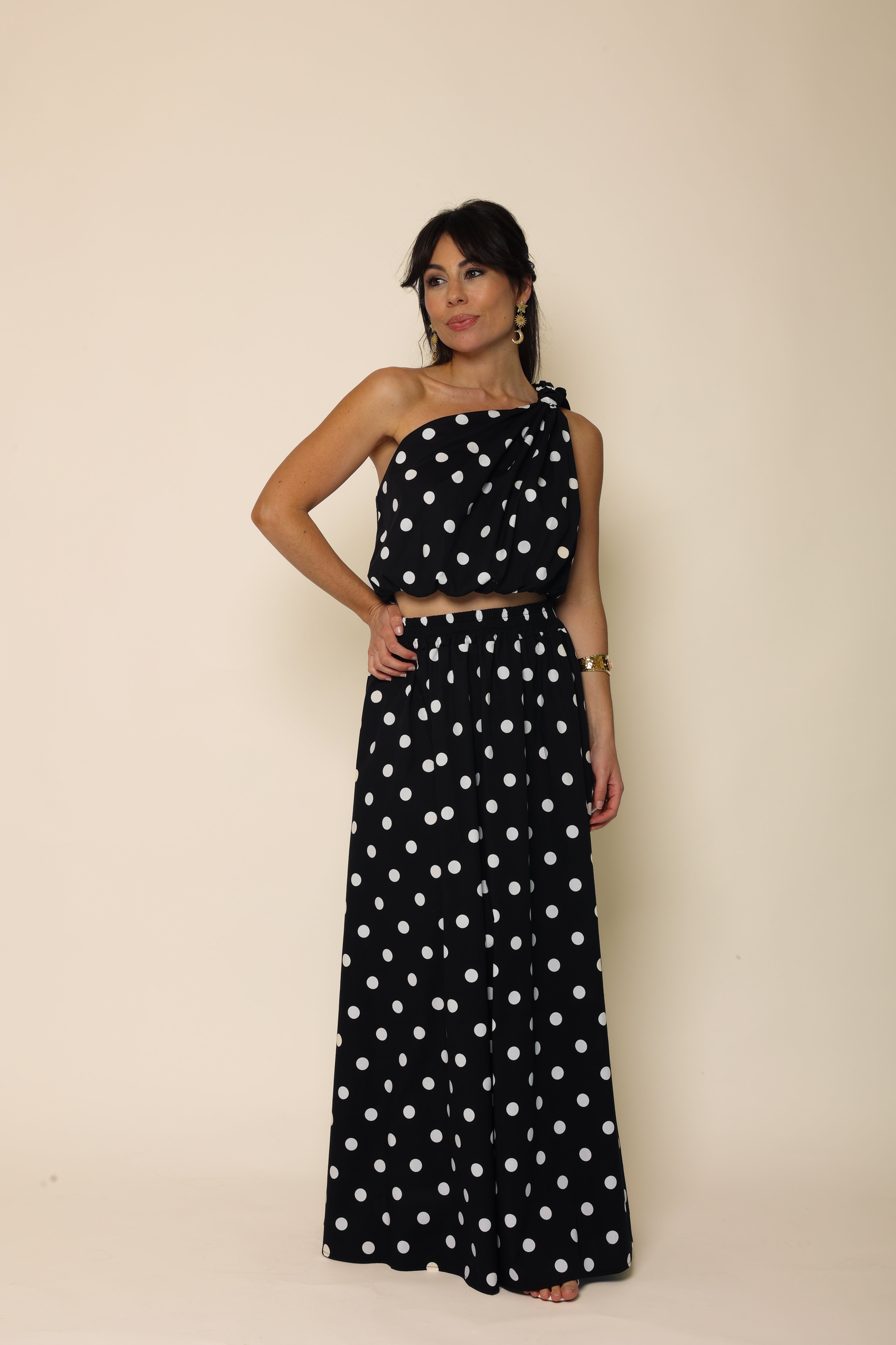 Ensemble FLAVIE